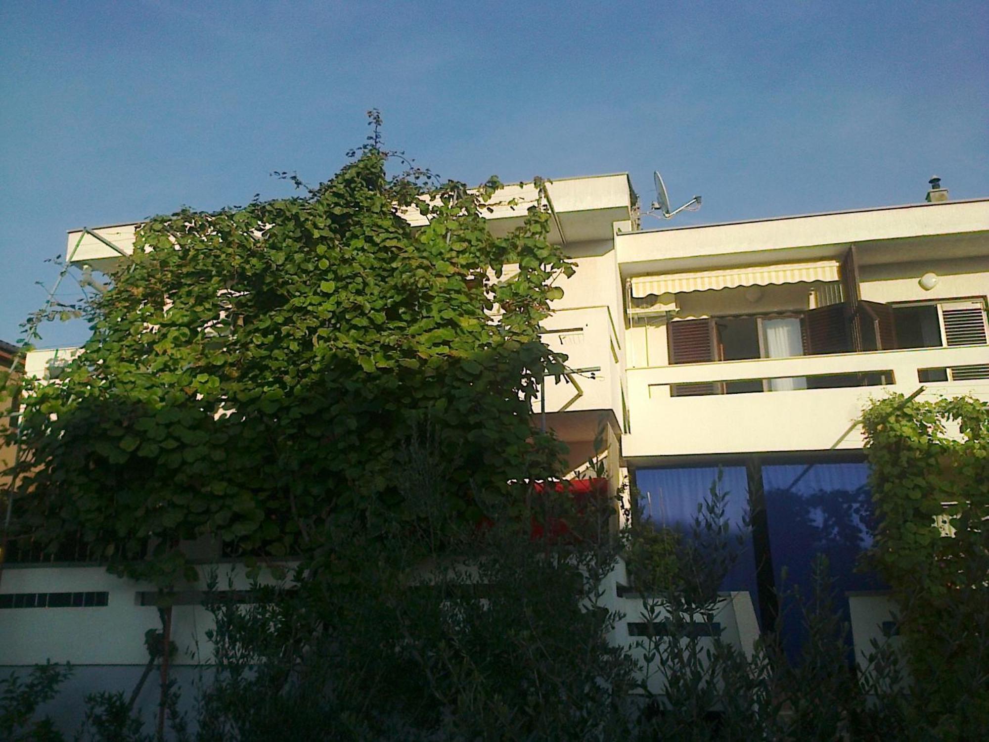 Nihada Apartma *