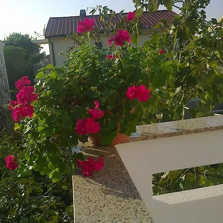 Guesthouse Nihada Punat Room photo