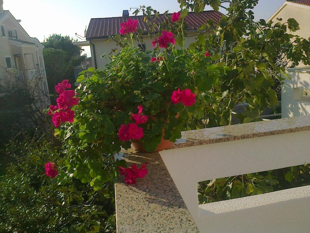 Apartment Nihada
