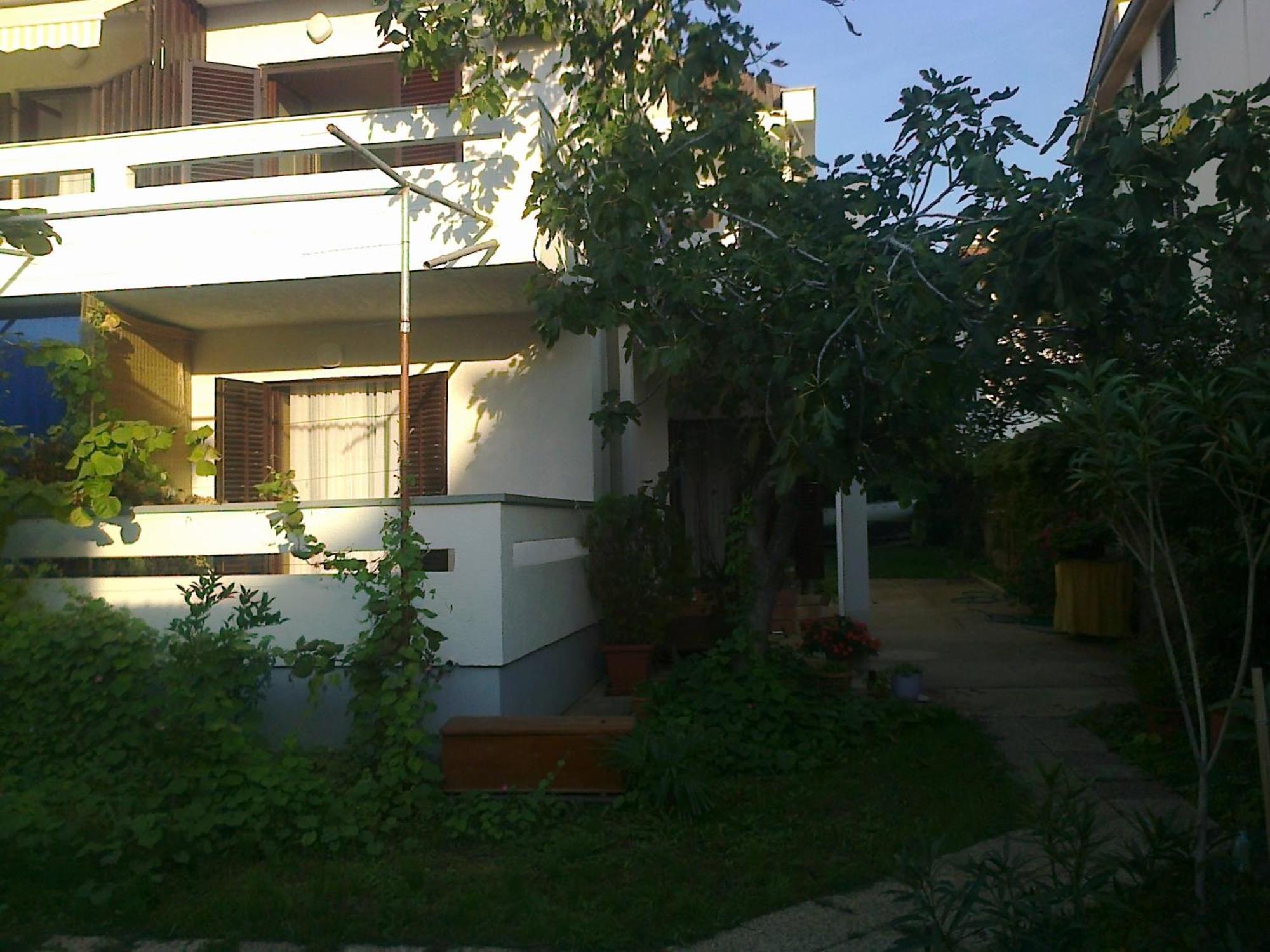 Nihada Punat